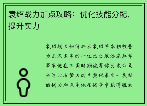 袁绍战力加点攻略：优化技能分配，提升实力